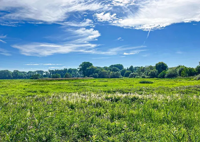 Lejlighed Haffblick 11